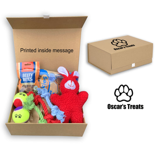 Personalised large custom dog christmas gift treat box hamper dog toys new puppy