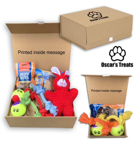 Personalised custom dog christmas gift treat box hamper dog toys new puppy