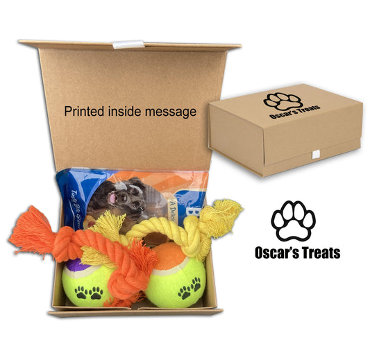 Personalised small custom dog christmas gift treat box hamper dog toys new puppy